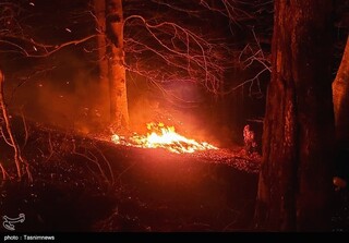 آتش‌سوزی ۱۳ ساعته در جنگل‌های آغوزبن رودبار/ آتش ۸ هکتار را فرا گرفت