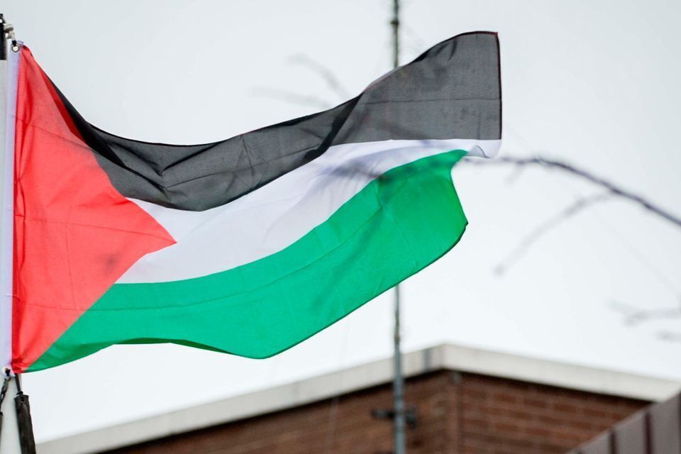 اهتزاز پرچم فلسطین بر فراز ساختمان شورای شهر دوبلین در حمایت از مردم غزه