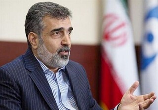 سخنگوی سازمان انرژی اتمی: حق ایران است که برنامه صلح‌آمیز هسته‌ای خود را توسعه دهد