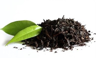 اثرات یکی از محبوب‌ترین نوشیدنی‌های جهان بر جوانی/ چای بنوشید و پیر نشوید!