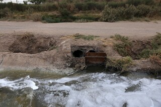 رئیس سازمان حفاظت محیط زیست: اجازه ورود حتی یک قطره پساب به رودخانه شور را نمی‌دهیم
