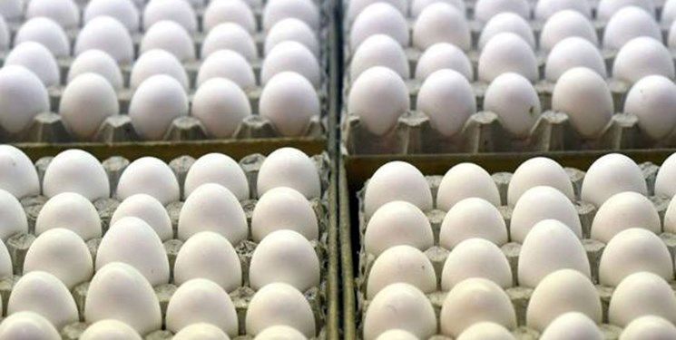 قیمت تخم مرغ امروز ۱۷ آذر | تخم‌مرغ محلی دانه‌ای ۱۲ هزار تومان!