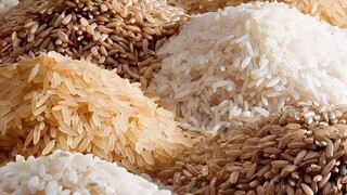 استاندارد برنج ایرانی و چند روایت متناقض