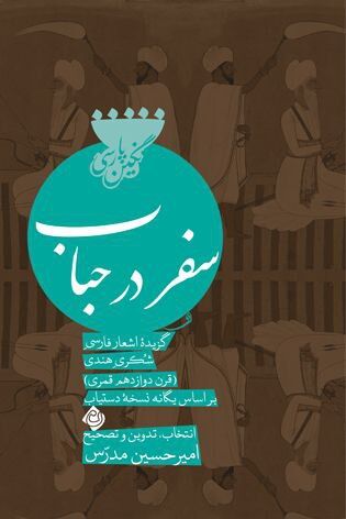 اثر جدید امیر حسین مدرس درباره شاعر ایرانی‌تبار مقیم هند