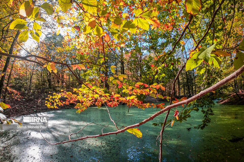 گزارش تصویری I فصل هزار رنگ پاییز
