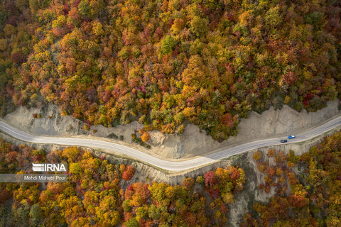 گزارش تصویری I فصل هزار رنگ پاییز