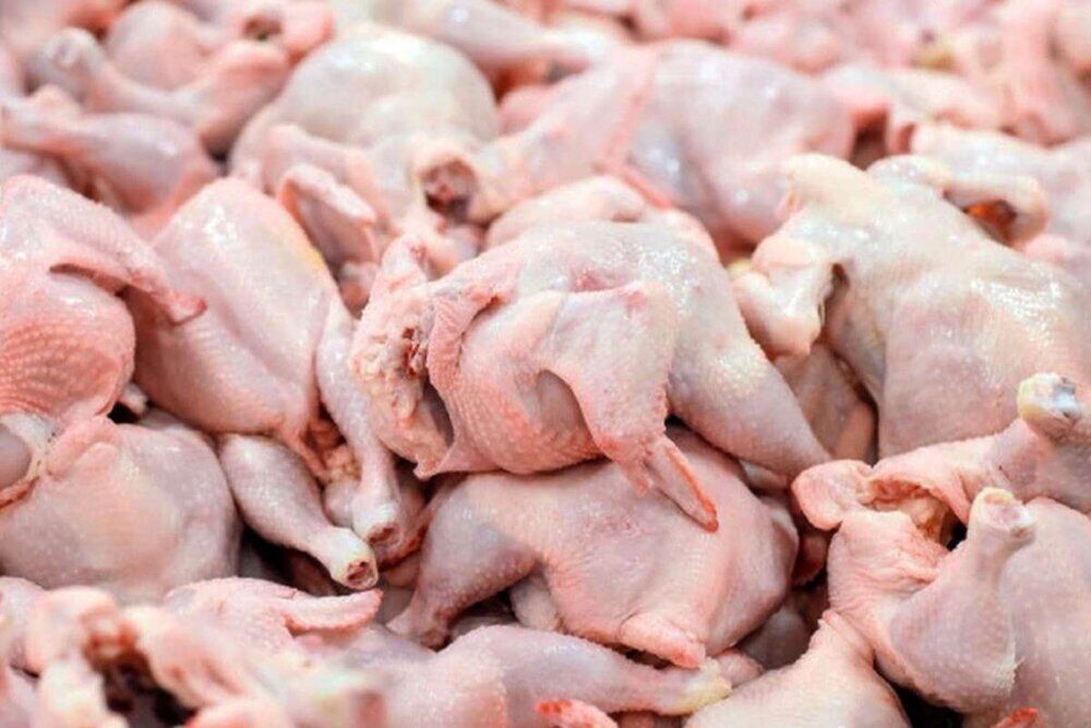معدوم‌سازی ۴۰۰۰ کیلوگرم مرغ غیربهداشتی در آبادان