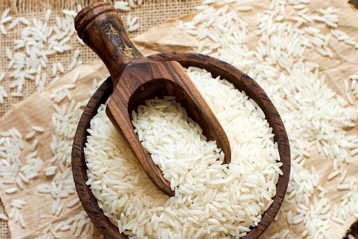 اطلاعیه وزارت جهاد کشاورزی درباره واردات برنج