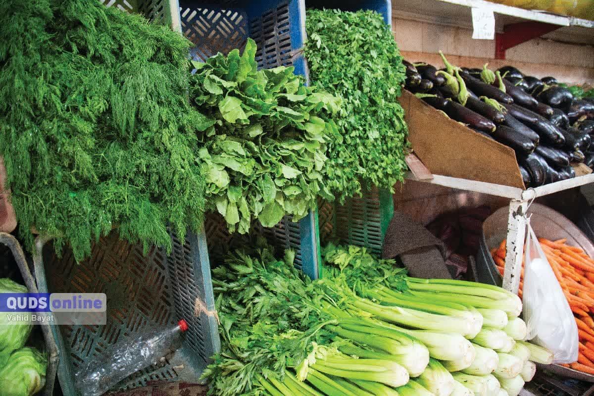 سرما قیمت سبزی را نجومی کرد 