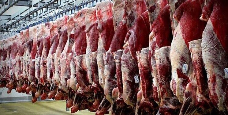 رشد ۷ درصدی تولید گوشت قرمز در استان قزوین