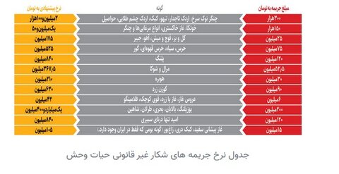 جریمه شکار؛ ۵۰ هزار تا ۲۰۰ میلیون تومان/ جریمه شکار گراز ارزانتر از قیمت مرغ و خروس!