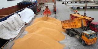 واردات کالاهای کشاورزی تسهیل شد