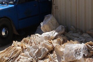 تشکیل ۶۶۳ پرونده تخلف آرد و نان در خراسان شمالی/ کشف ۱۰۰۰ قرص نان خشک در یک روز