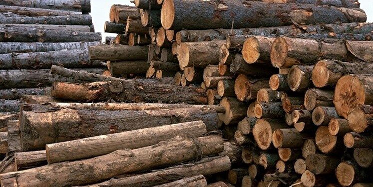کشف سه تن چوب جنگلی قاچاق در ملایر