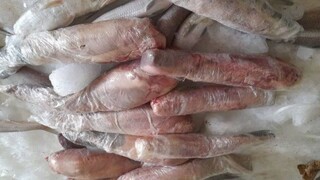 محموله کشف شده زبان متعلق به چه حیوانی است؟!