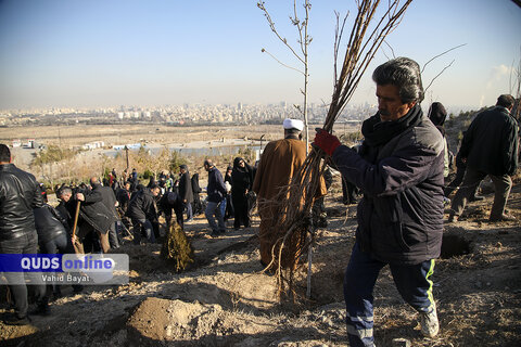 گزارش تصویری I پویش درختکاری " نهالی برای مادر سردار" در مشهد