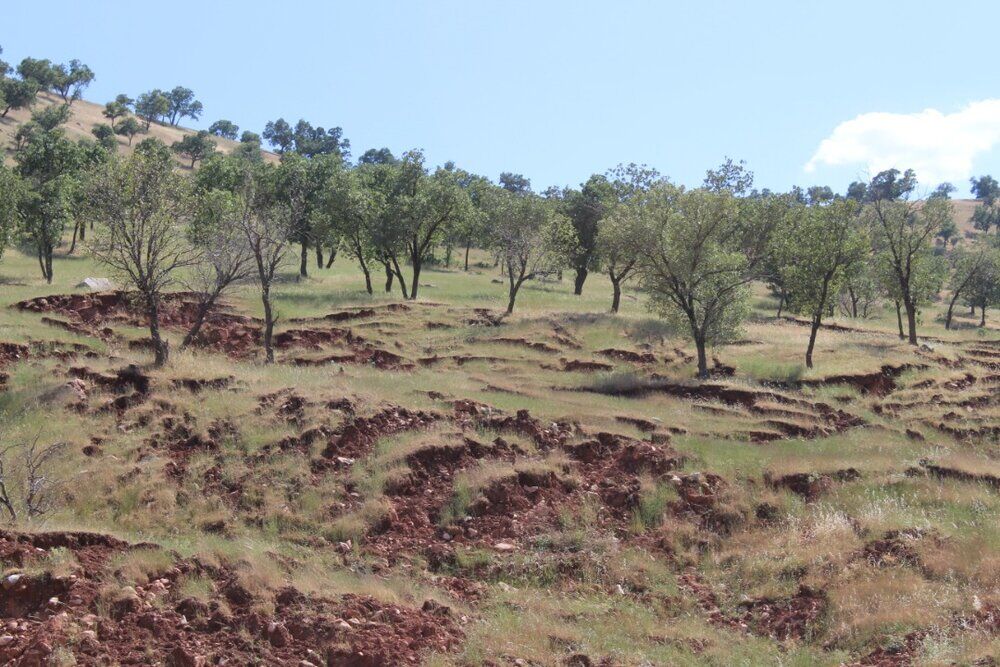  فرسایش خاک در مازندران ساعت می زند/ خسارت هزاران میلیاردی