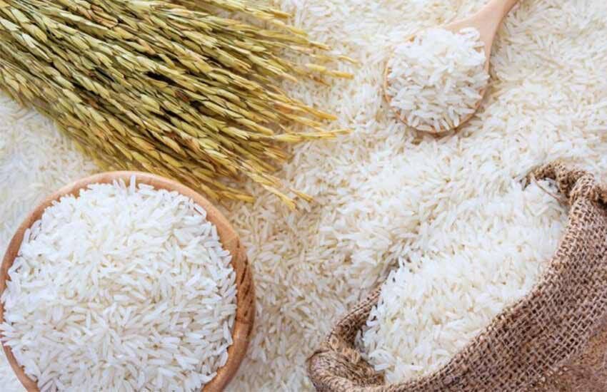 ضربه برنج نوک‌سیاه به دم‌سیاه