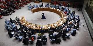 جلسه شورای امنیت درباره وضعیت دریای سرخ