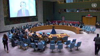 نخستین نشست شورای امنیت در سال ۲۰۲۴ درباره حملات در دریای سرخ