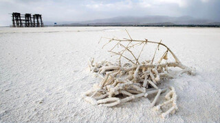 "مالچ‌پاشی" به معنای مرگ دریاچه ارومیه نیست