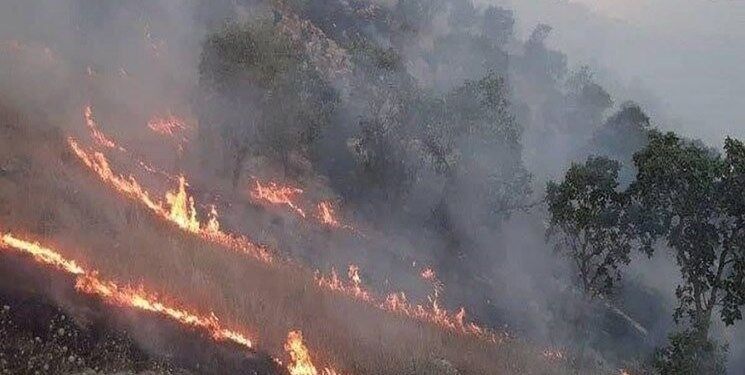 پیشگیری از گسترش آتش‌سوزی در جنگل‌های چمستان