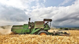 توسعه مکانیزاسیون راهکاری برای ارتقای ضریب امنیت غذایی کشور