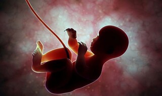 با پزشکان متخلف در سقط جنین برخورد می‌شود