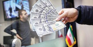 دلارهای خانگی در معرض خطر؛ دلالان مترصد خریدهای هیجانی هستند