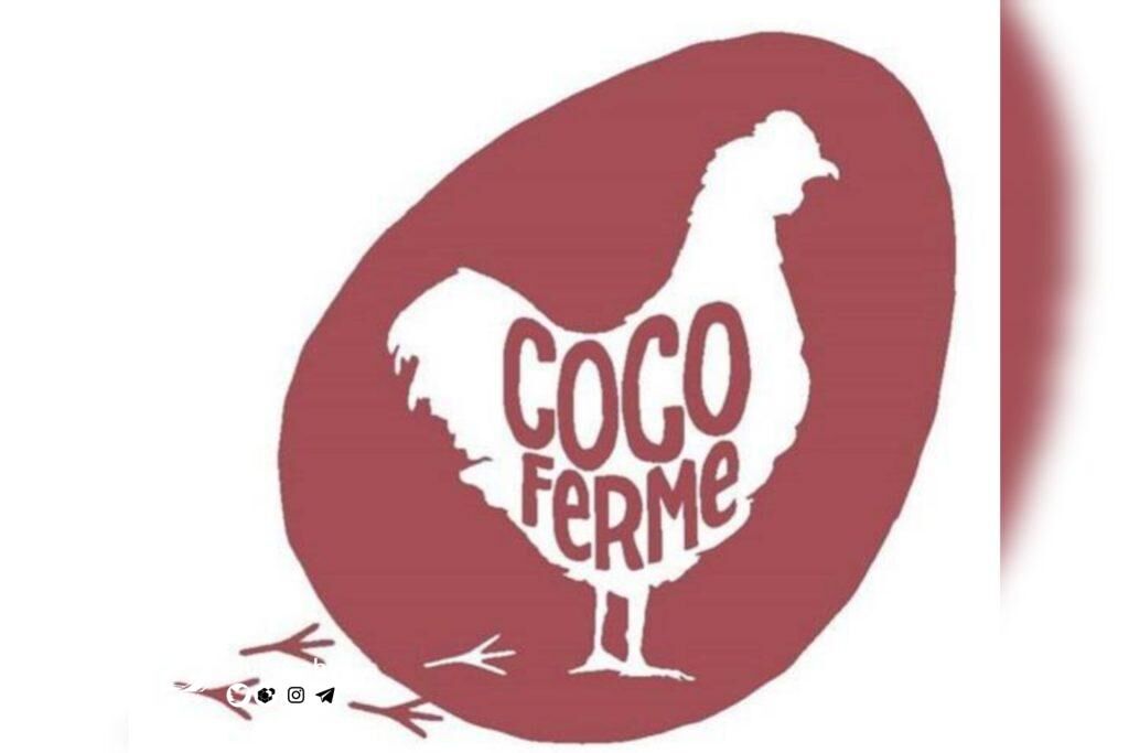 شبکه امید به «مزرعه کوکو» سری می‌زند