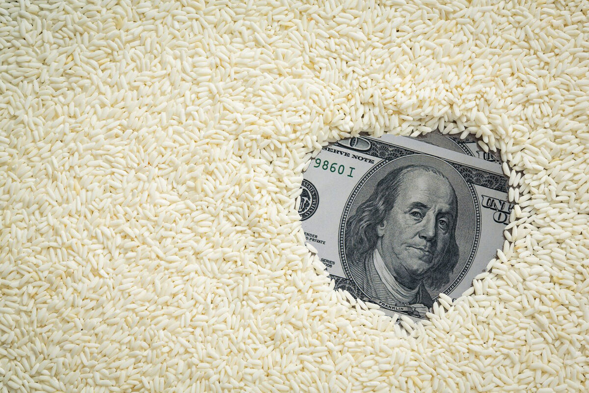 گرانی برنج نتیجه یک تصمیم ناپخته دیگر دولت!