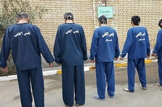 دستگیری ۵ سارق حرفه‌ای و سابقه‌دار در دشتستان
