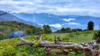تأیید ثبت روز ملی جنگل و کوهستان در تقویم رسمی کشور
