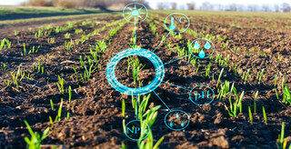 هوش مصنوعی و صنعت کشاورزی / کاربردها و تاثیرات بر صنعت کشاورزی
