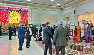 استاندار خراسان رضوی از زیرساخت‌های استان ماری ترکمنستان بازدید کرد