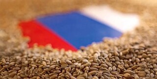 روسیه در صادرات کشاورزی رکورد زد