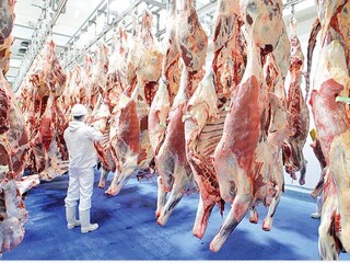 لاشه گوساله کیلویی ۲۸۰ هزار تومان شد/ جزییات تغییر قیمت گوشت