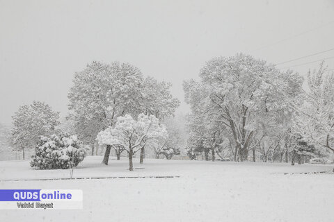 گزارش تصویری I  اولین برف زمستانی شهر مشهد