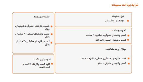 کسب و کارهای فعال در سکوهای داخلی تا ۳۰۰ میلیون تومان وام میگیرند