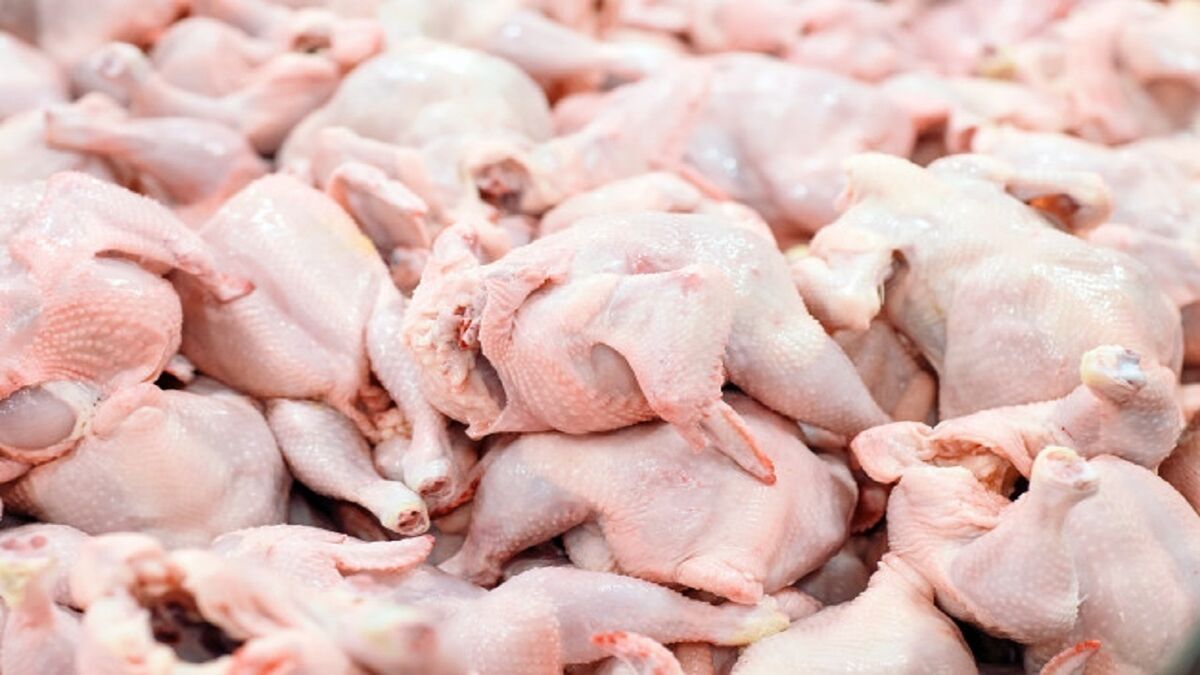 بازارگوشت مرغ ماه مبارک رمضان تامین است/ ضرورت جمع آوری گوشت مازاد