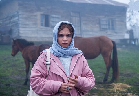 بابک خواجهپاشا کارگردان فیلم «آبی روشن»: رأفت و مهربانی امام رضا(ع) همان چیزی است که جامعه امروز ما به آن نیاز دارد