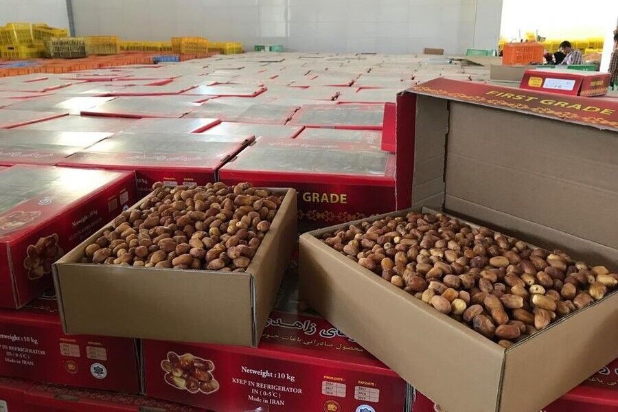 ذخیره‌سازی ۹۰۰ تن خرما برای ماه رمضان