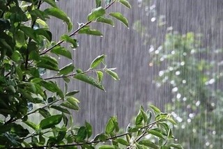 قزوین بارانی می شود