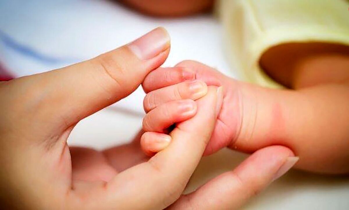 رشد حدود ۵ درصدی ثبت ولادت در شهرستان‌های گناباد و بجستان