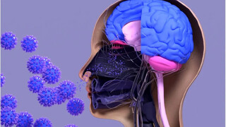 عفونت‌های ویروسی بر خطر آلزایمر تأثیر گذارند