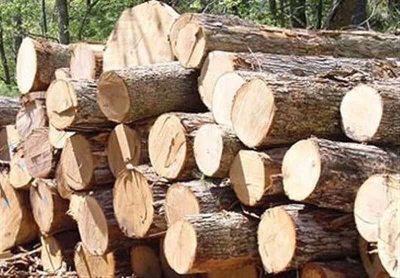 کشف بیش از ۳ تن چوب جنگلی قاچاق در بابل