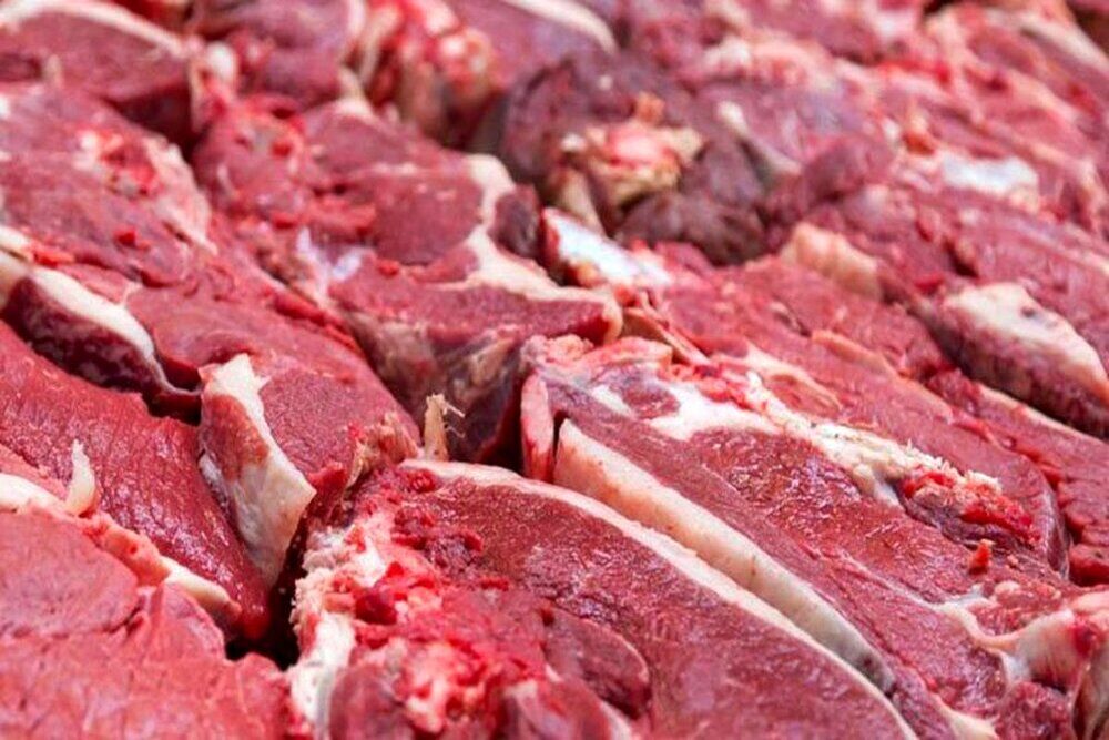 توزیع گوشت گرم گوساله تنظیم بازاری در مشهد