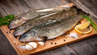اختلاف قیمت منطقی ماهی از مزرعه تا سفره ۴۰ درصد است/ بیشتر از مصرف داخلی تولید داریم