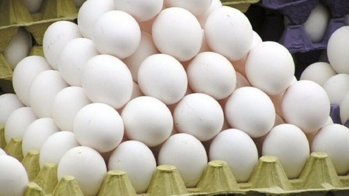 چگونه از سلامت تخم مرغ‌ مطمئن شویم؟