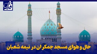 فیلم| حال و هوای مسجد جمکران در روز میلاد حضرت  صاحب‌الزمان (عج)